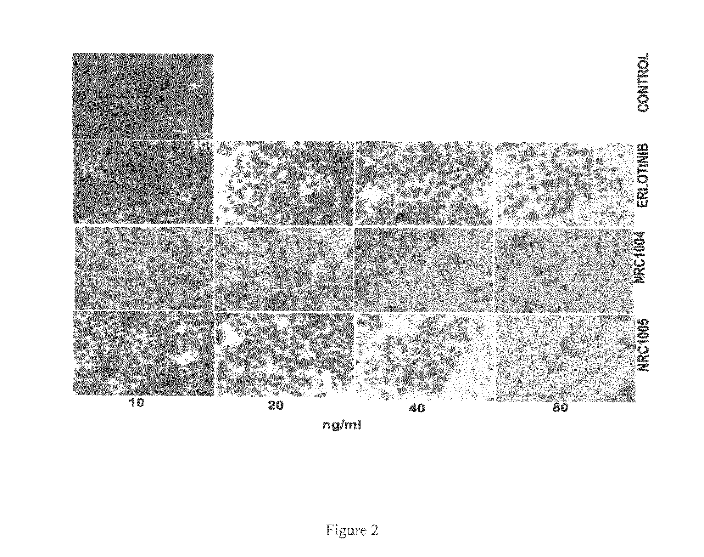 Novel 4-(tetrazol-5-yl)-quinazoline derivatives as anti cancer agent