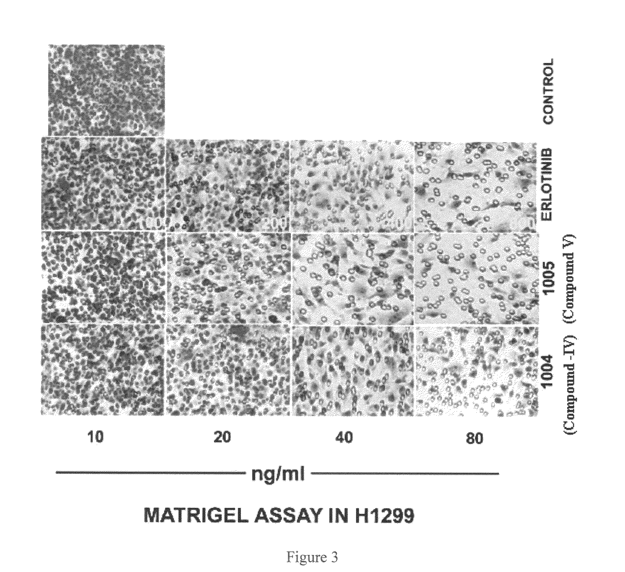 Novel 4-(tetrazol-5-yl)-quinazoline derivatives as anti cancer agent