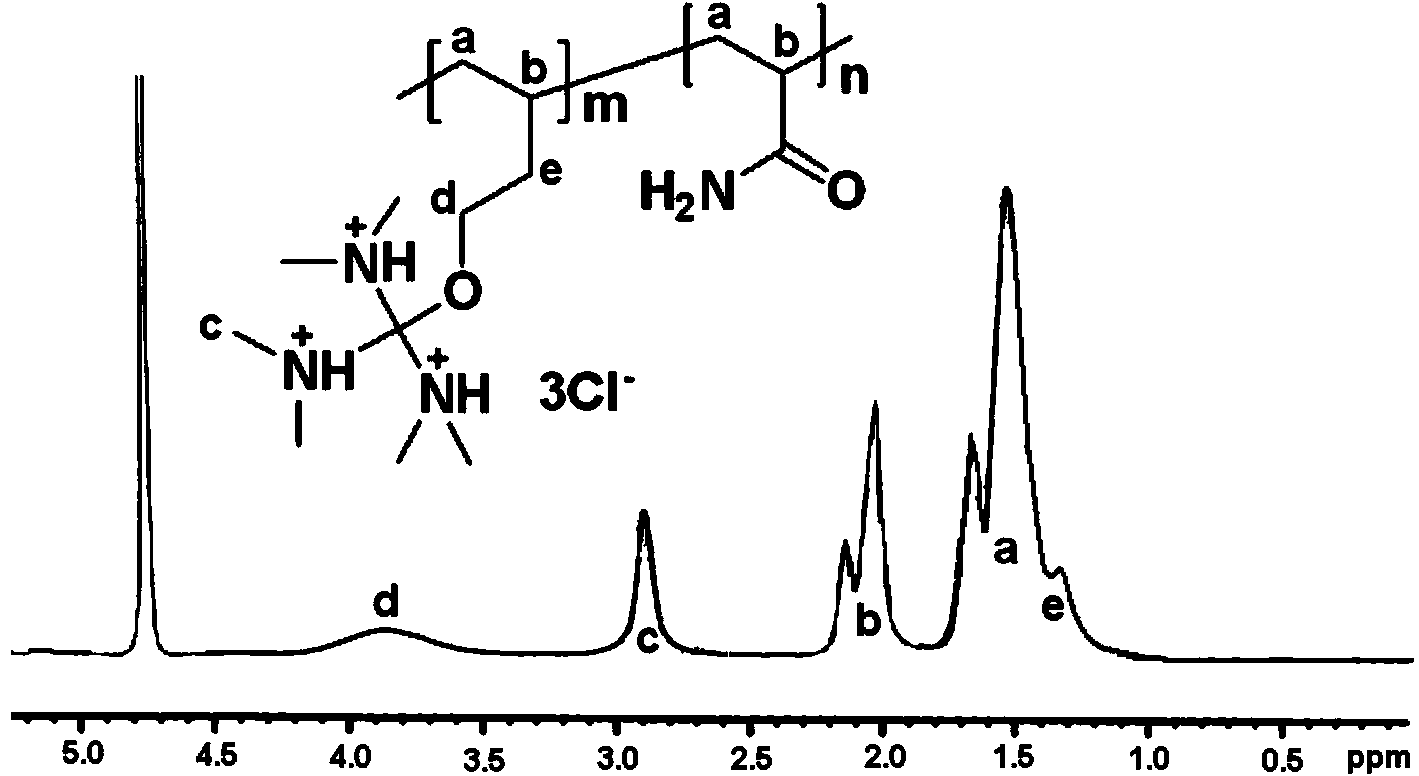 Preparation method of cationic polymer