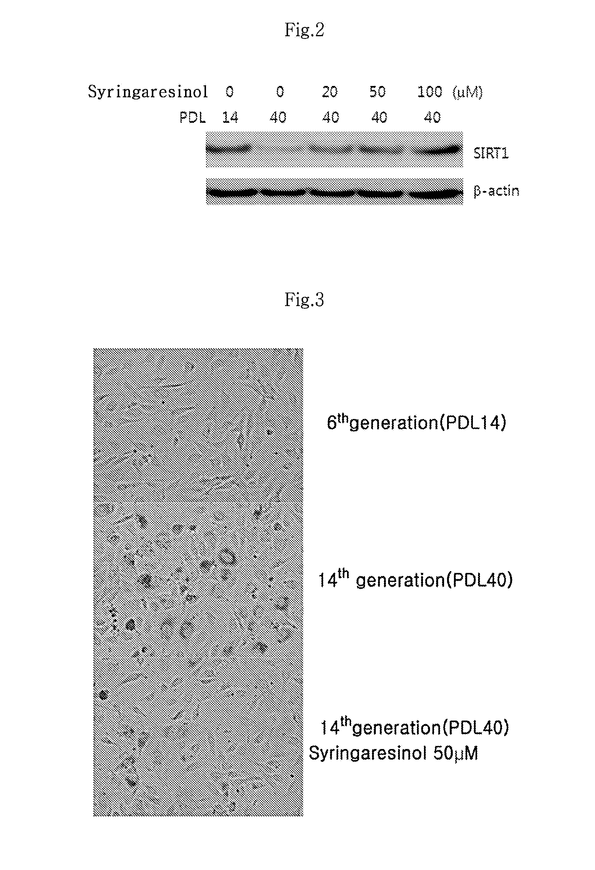 Composition for inhibiting vascular aging comprising syringaresinol