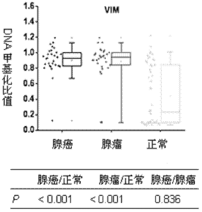 Primer capable of detecting methylation of promoter of gene related to colonic adenocarcinoma