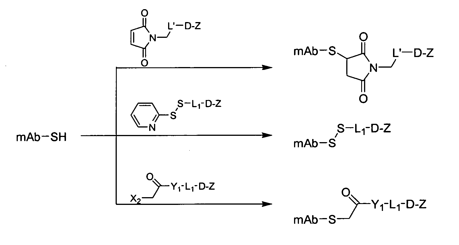 Conjugates with reduced adverse systemic effects