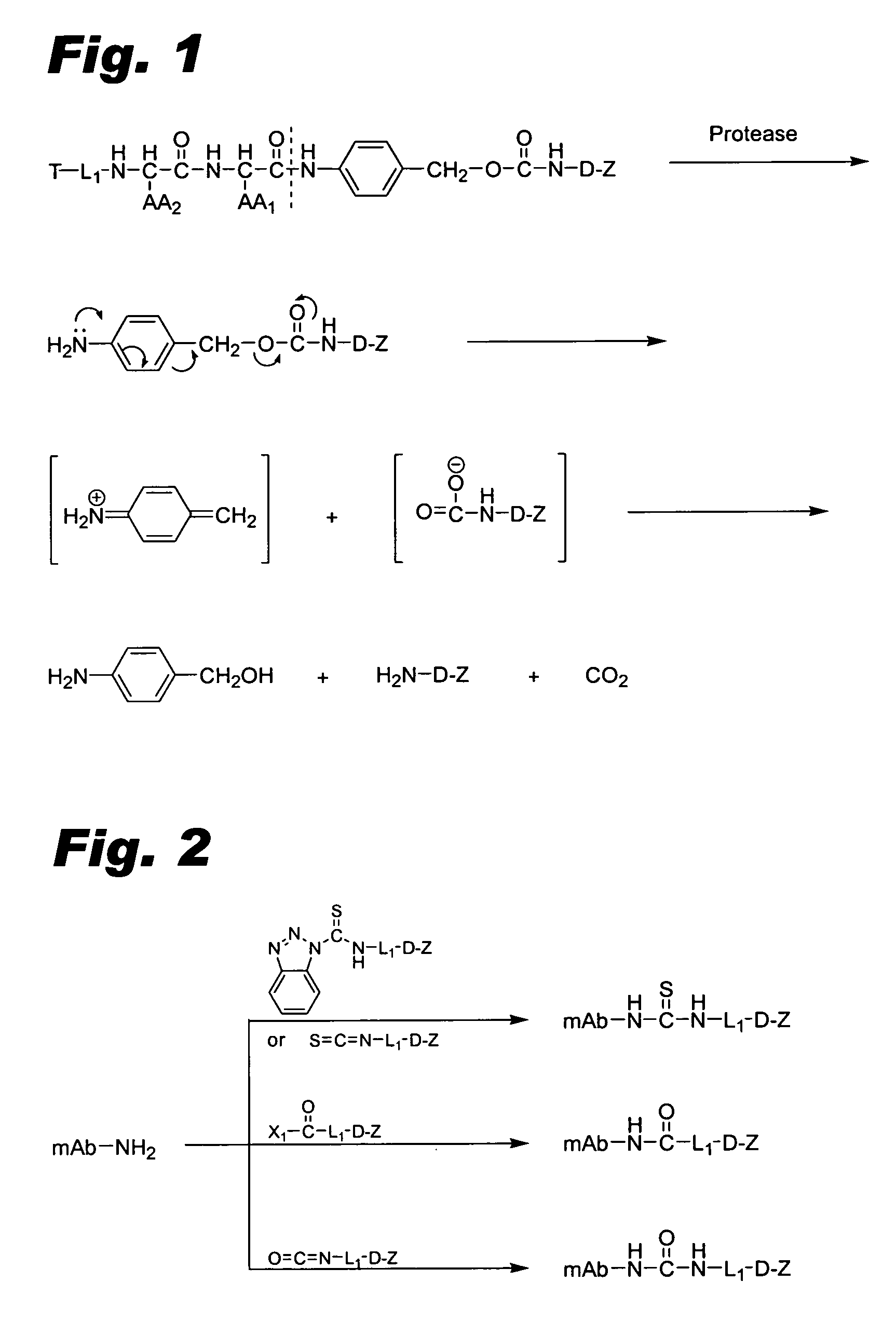 Conjugates with reduced adverse systemic effects