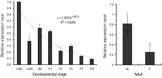 ATPSb gene related to survival of brown planthopper and encoded protein as well as application thereof