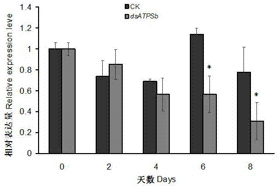 ATPSb gene related to survival of brown planthopper and encoded protein as well as application thereof