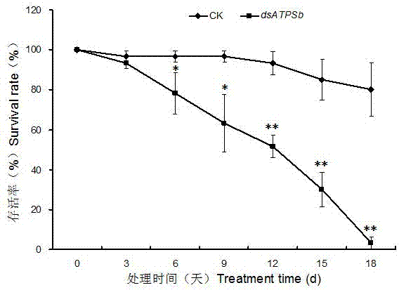 ATPSb gene related to survival of brown planthopper and encoded protein as well as application thereof