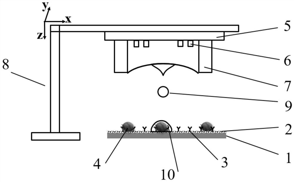 A surface acoustic wave droplet excitation device and a method for fixed-point release of tumor single cells