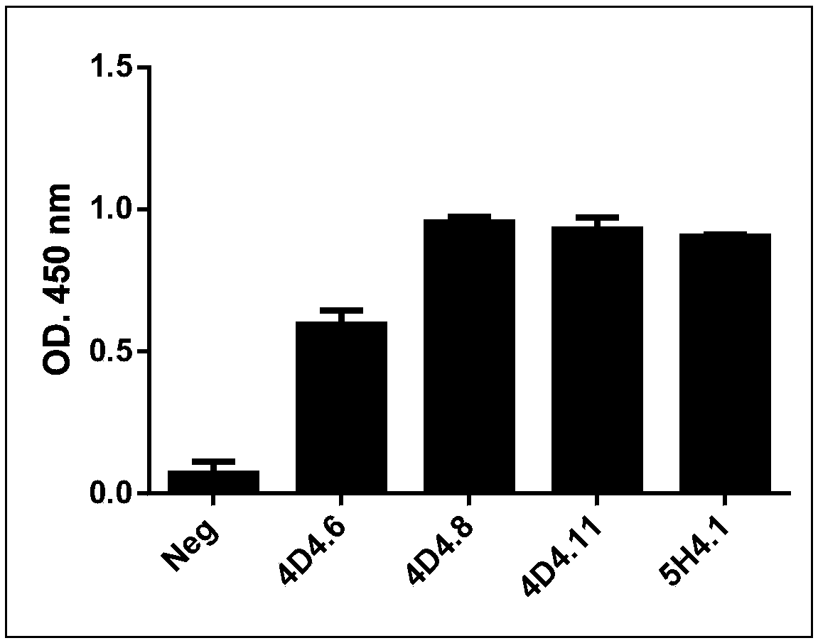 Anti-SERINC5 antibody and application thereof