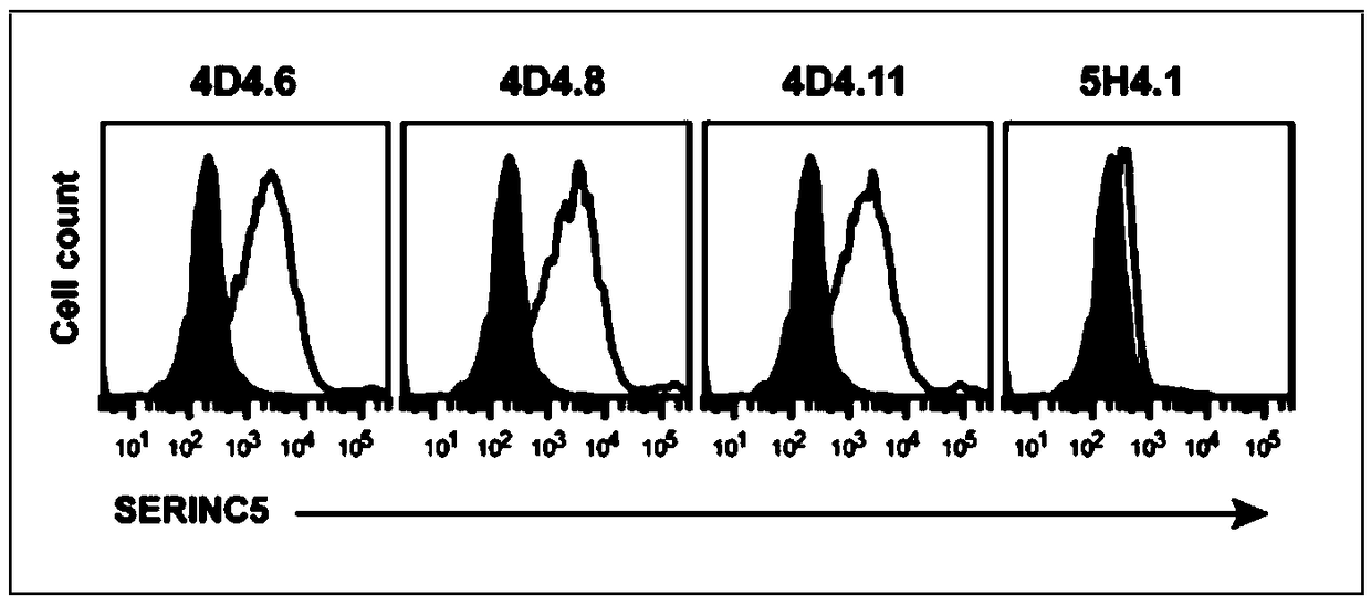 Anti-SERINC5 antibody and application thereof