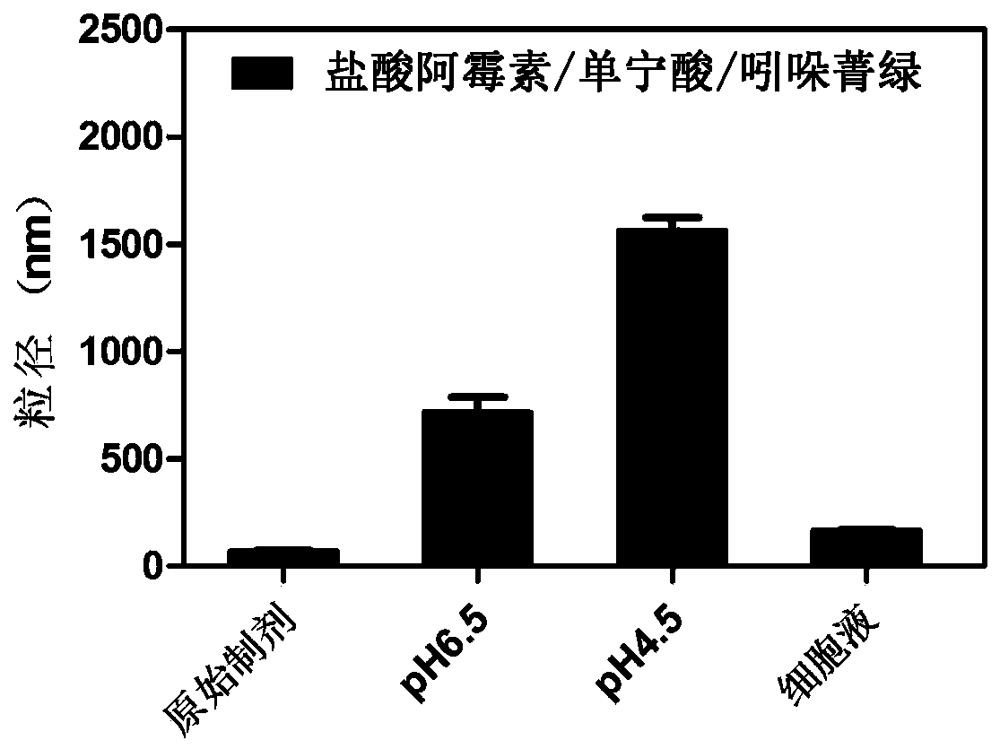 Proton-triggered nano-drug system with hydrophilic-hydrophobic-dimensional double conversion characteristics and preparation method and application thereof