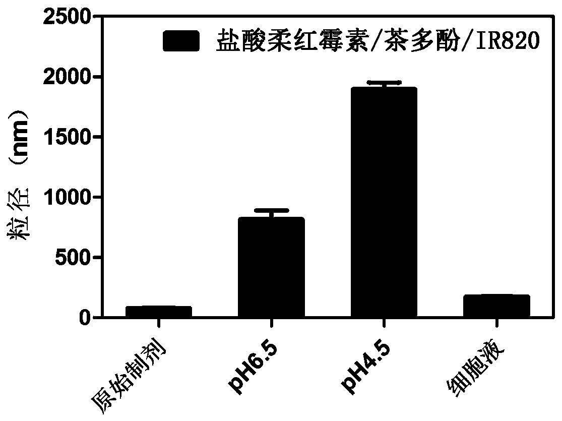 Proton-triggered nano-drug system with hydrophilic-hydrophobic-dimensional double conversion characteristics and preparation method and application thereof