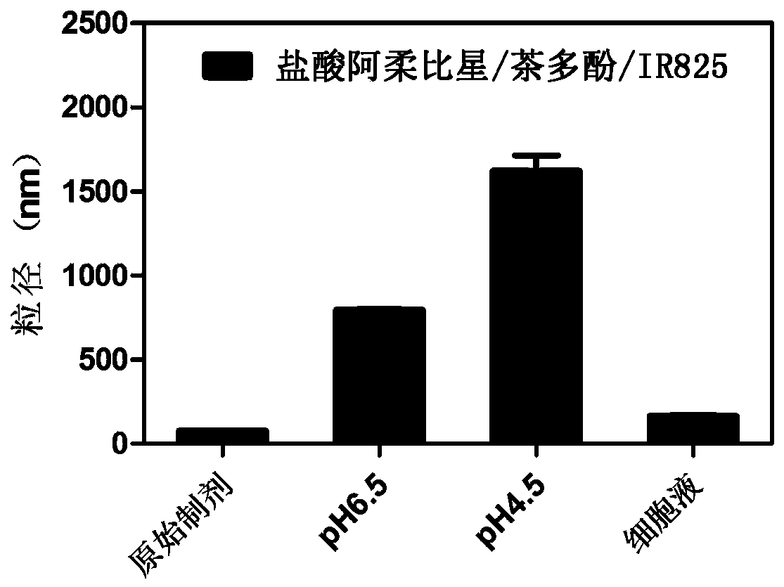 Proton-triggered nano-drug system with hydrophilic-hydrophobic-dimensional double conversion characteristics and preparation method and application thereof