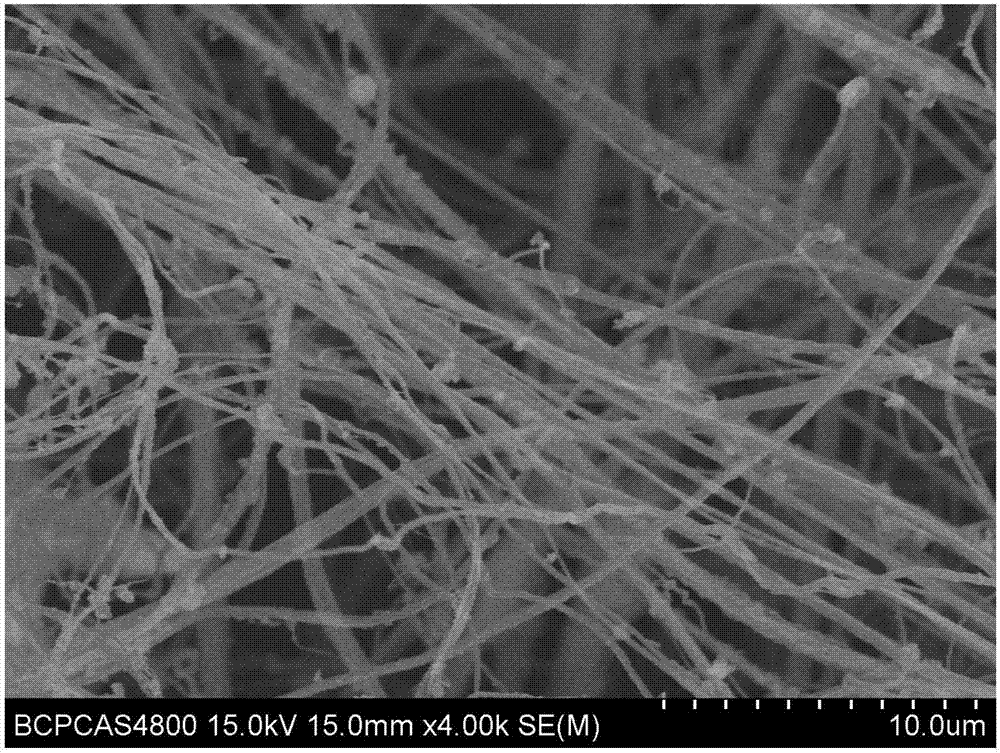 Fibrous membrane device capable of adsorbing-desorbing protein and based on 3D printing PLA material and preparation method thereof