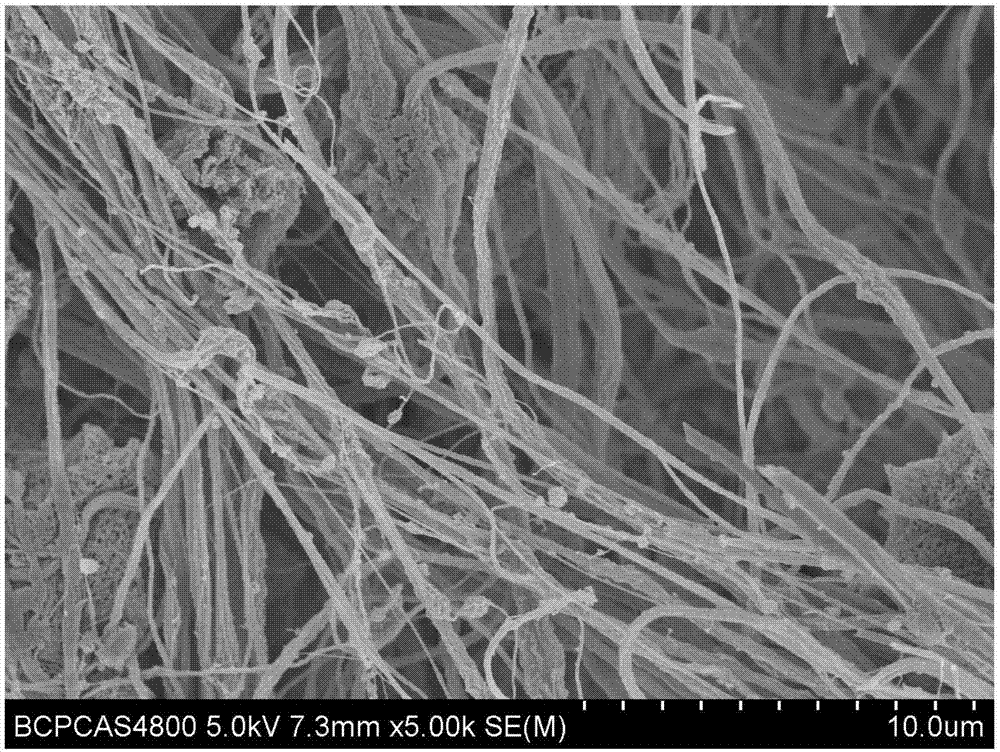 Fibrous membrane device capable of adsorbing-desorbing protein and based on 3D printing PLA material and preparation method thereof