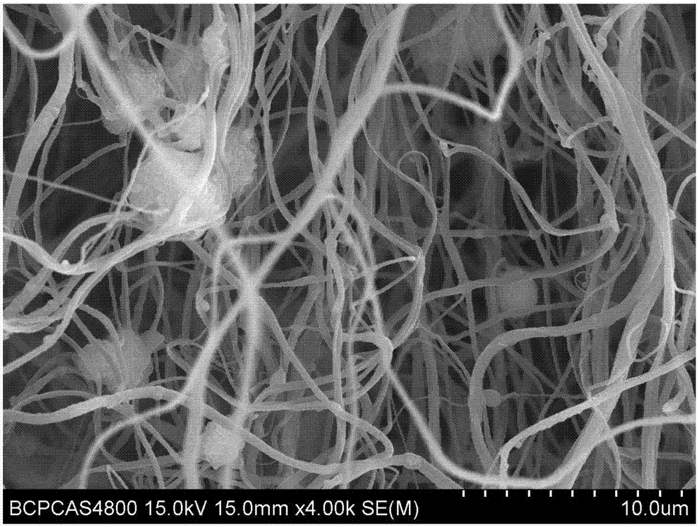 Fibrous membrane device capable of adsorbing-desorbing protein and based on 3D printing PLA material and preparation method thereof