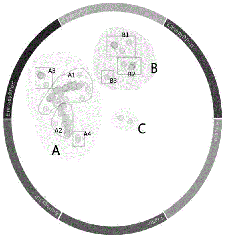 Network flow abnormity analysis method based on visualization clustering