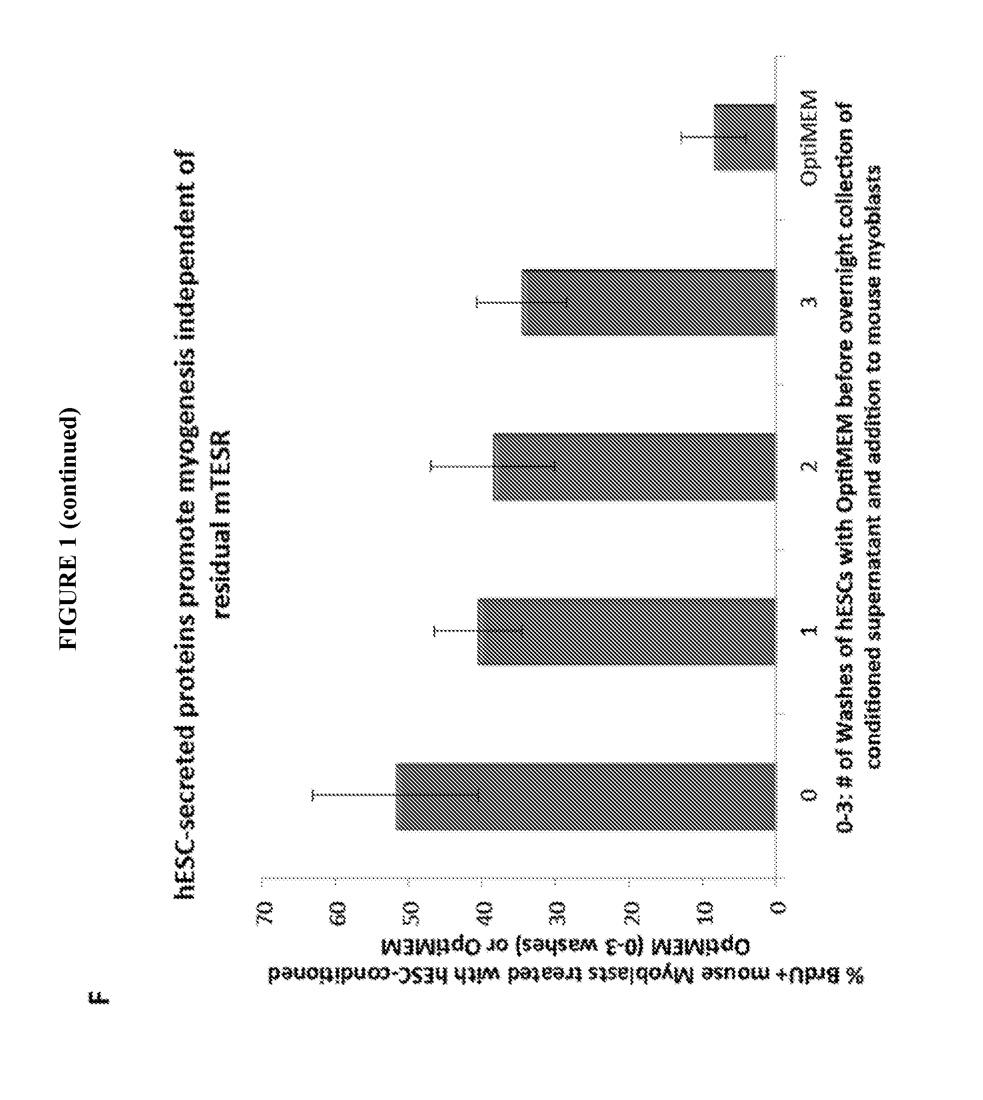 Methods and Compositions for Somatic Cell Proliferation and Viability