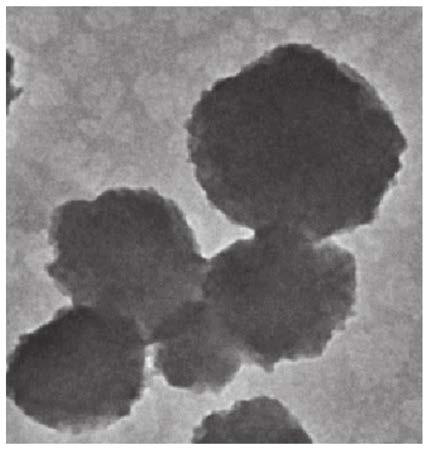 Gene and chemical small molecule co-delivery system and application in tumor treatment