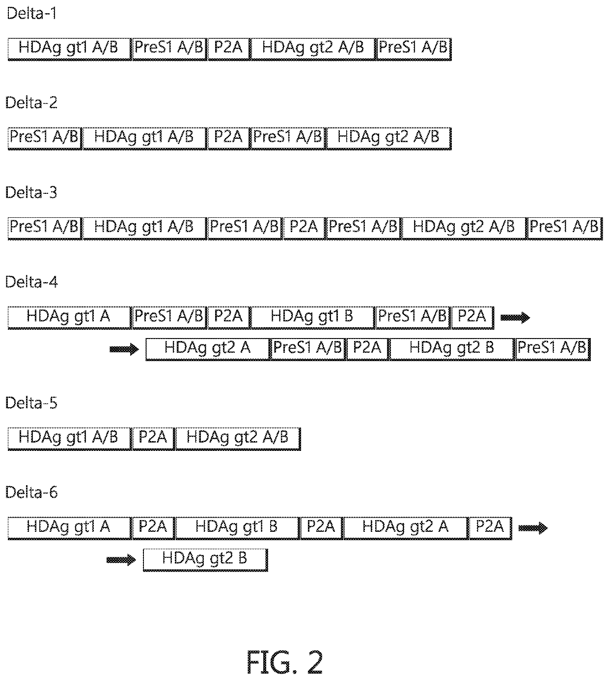 Chimeric hepatitis D virus antigen and hepatitis B virus pre S1 genes for use alone or in vaccines containing hepatitis B virus genes