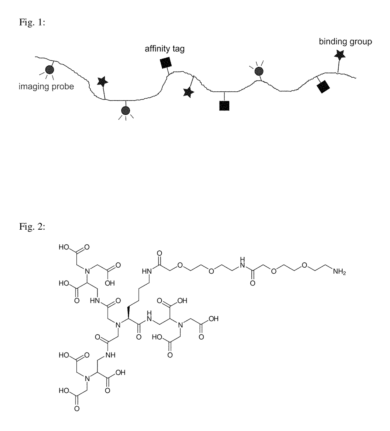 Macromolecular conjugates for isolation, immobilization and visualization of proteins