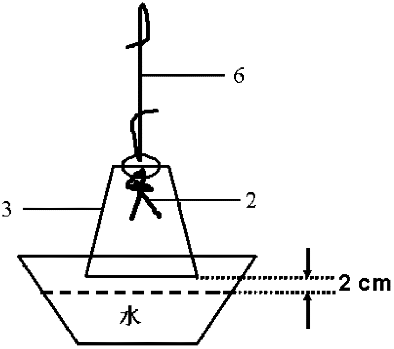 High-efficiency trap for male adults of rice leafroller and application of high-efficiency trap