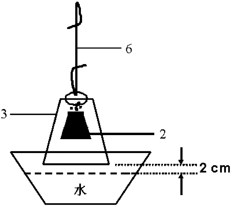 High-efficiency trap for male adults of rice leafroller and application of high-efficiency trap