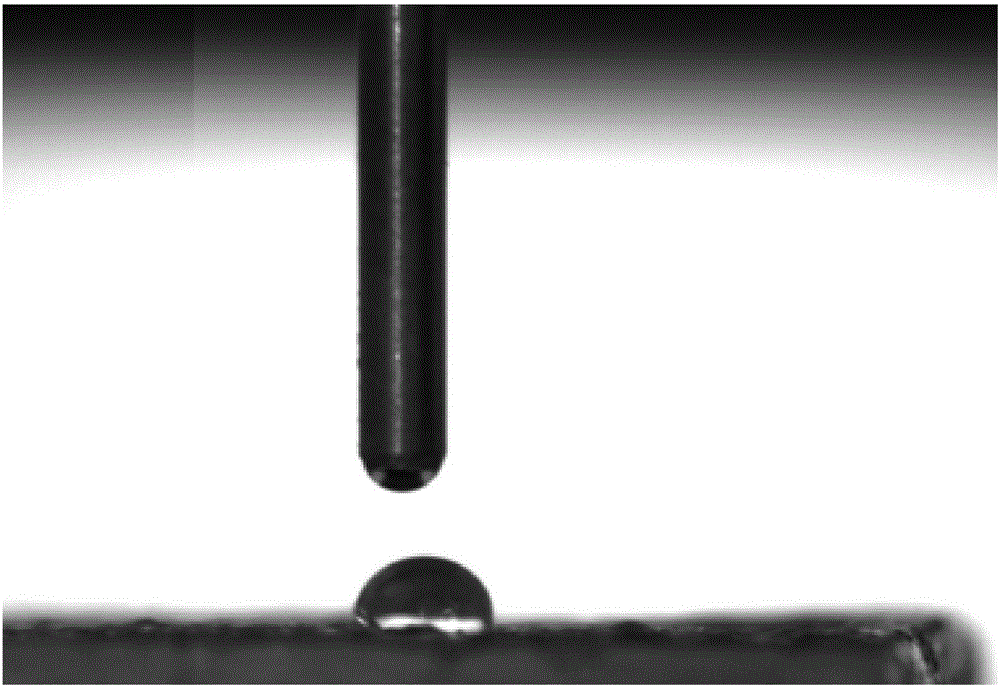 Preparation method of medical pure magnesium surface electrophoretic deposition carried bone growth inducing traditional Chinese medicine coating