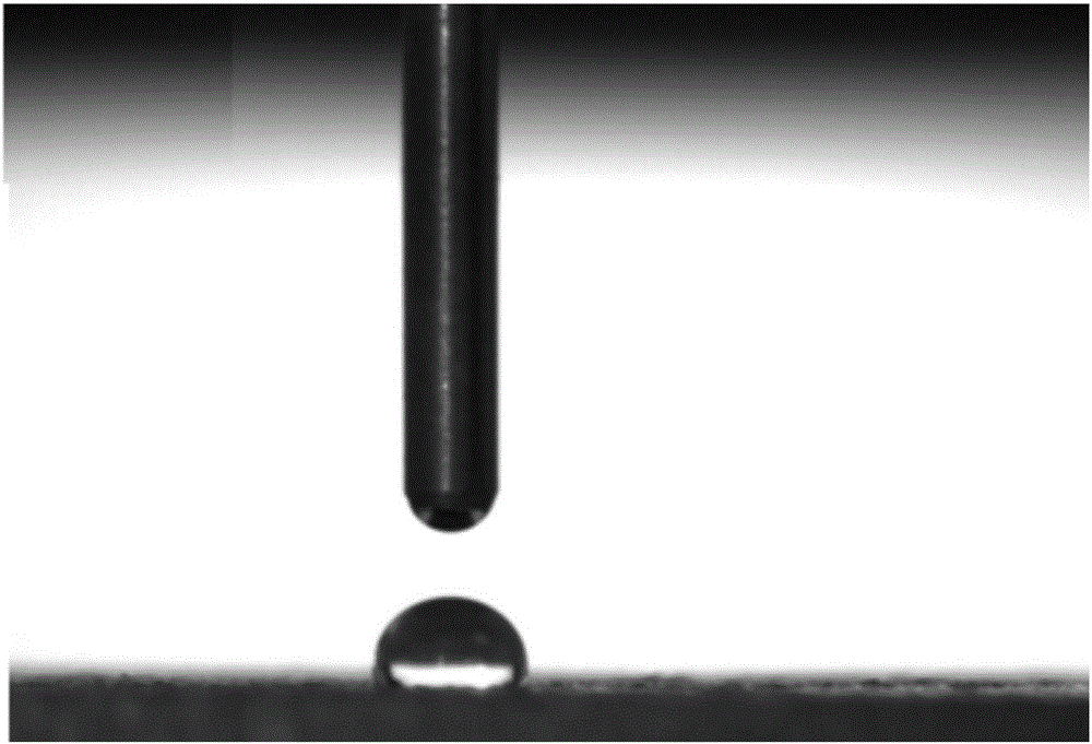 Preparation method of medical pure magnesium surface electrophoretic deposition carried bone growth inducing traditional Chinese medicine coating