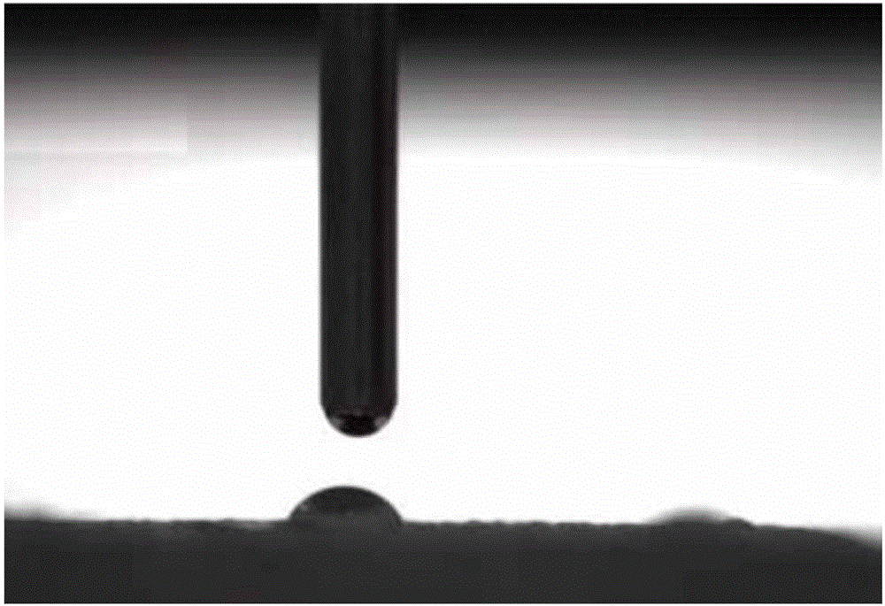 Preparation method of medical pure magnesium surface electrophoretic deposition carried bone growth inducing traditional Chinese medicine coating