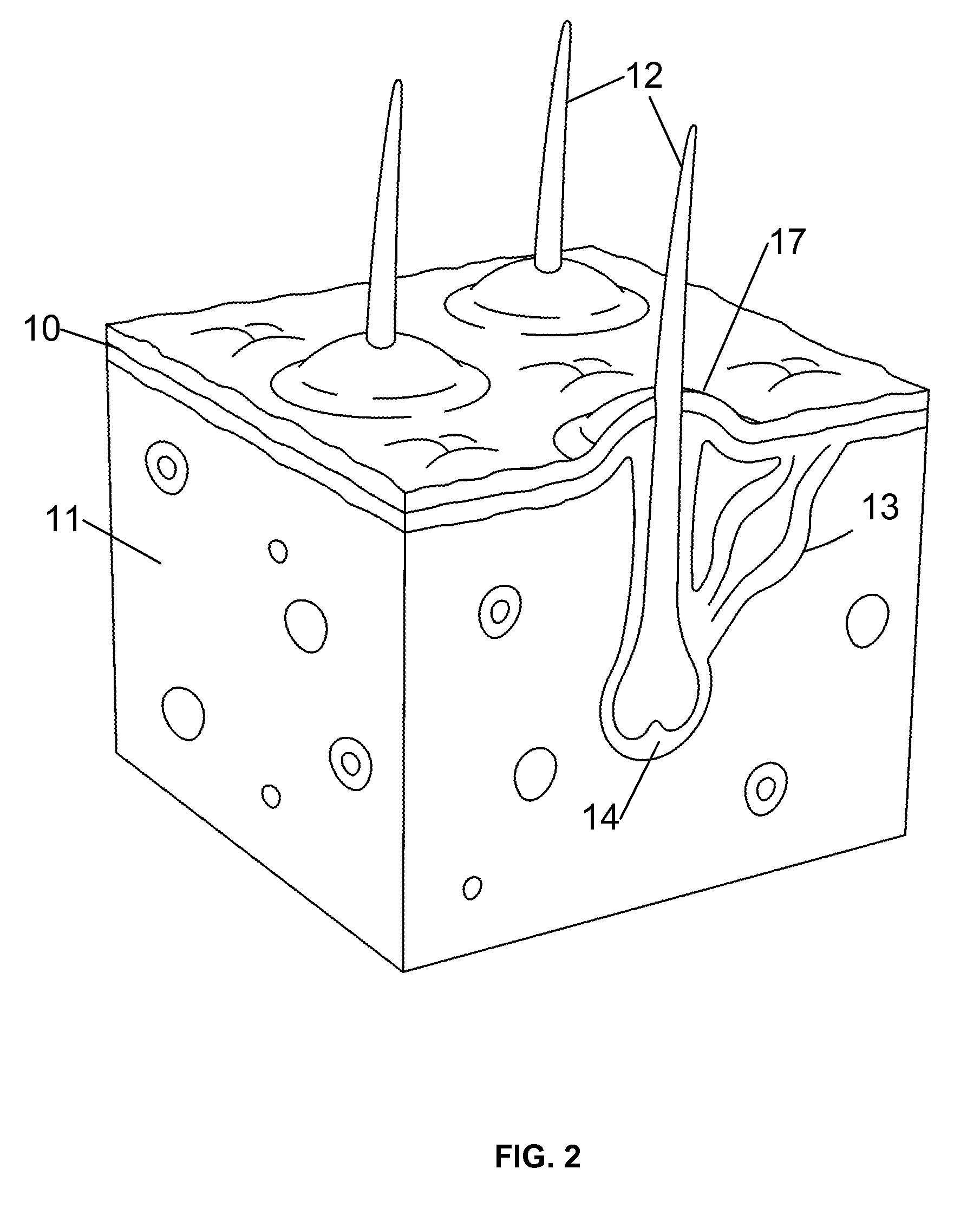 Pilomotor effect stimulating device and method