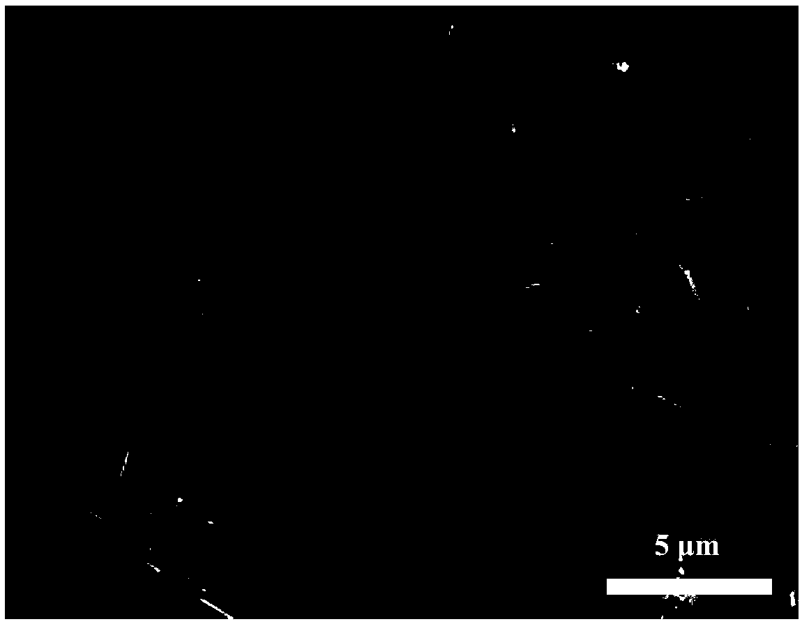 Flower-shaped multistage structure molybdenum trioxide material induce by nickel-titanium alloy and preparation method and application thereof