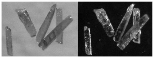 Orange-red fluorescent zinc coordination polymer with mixed ligands, preparation method of polymer and application of polymer