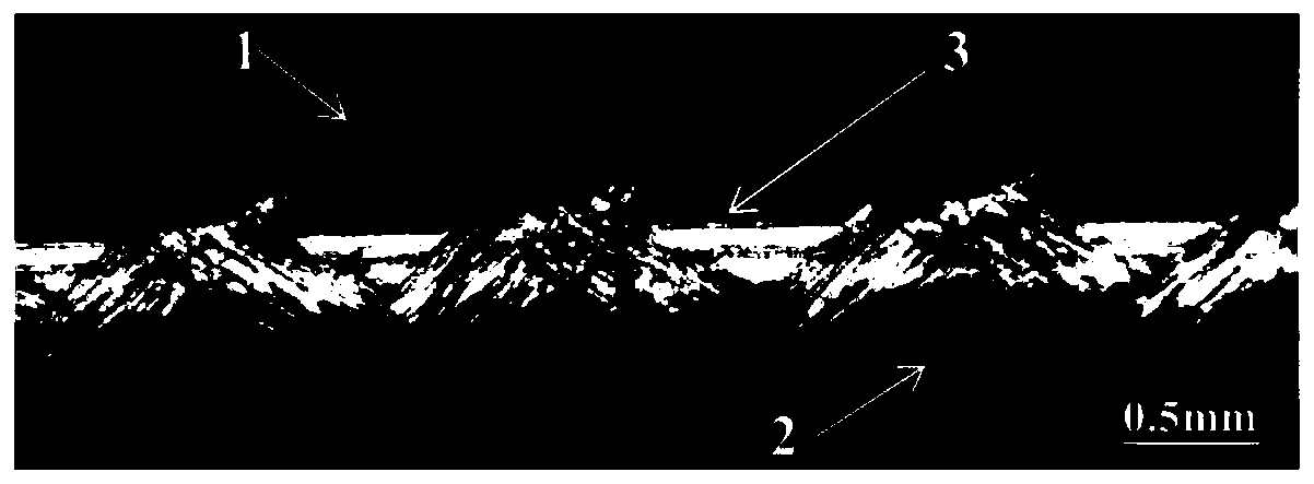 Hollow porous absorbable suture line and preparation method