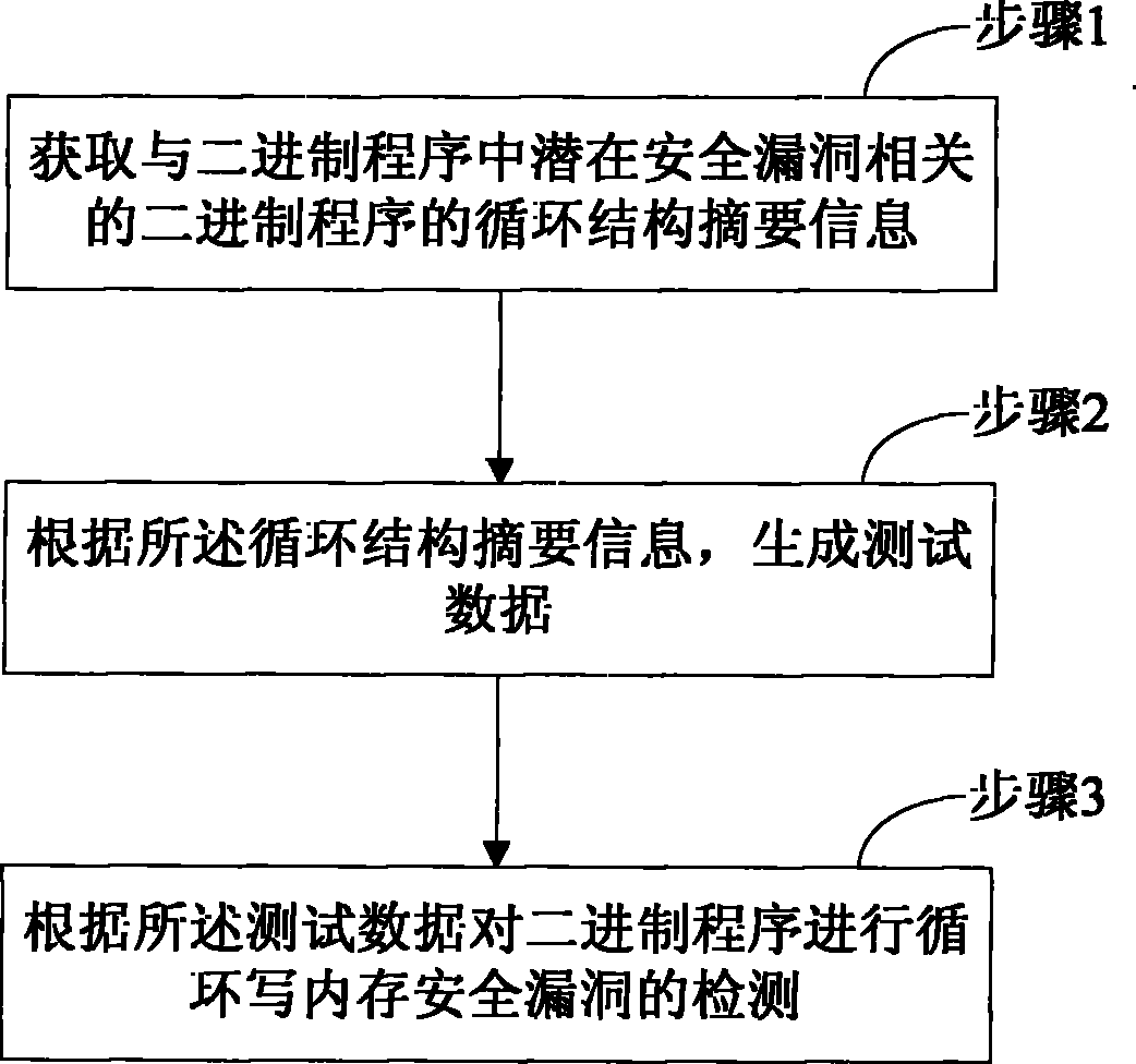 Detection method for security flaws in loop write-only memory of binary program