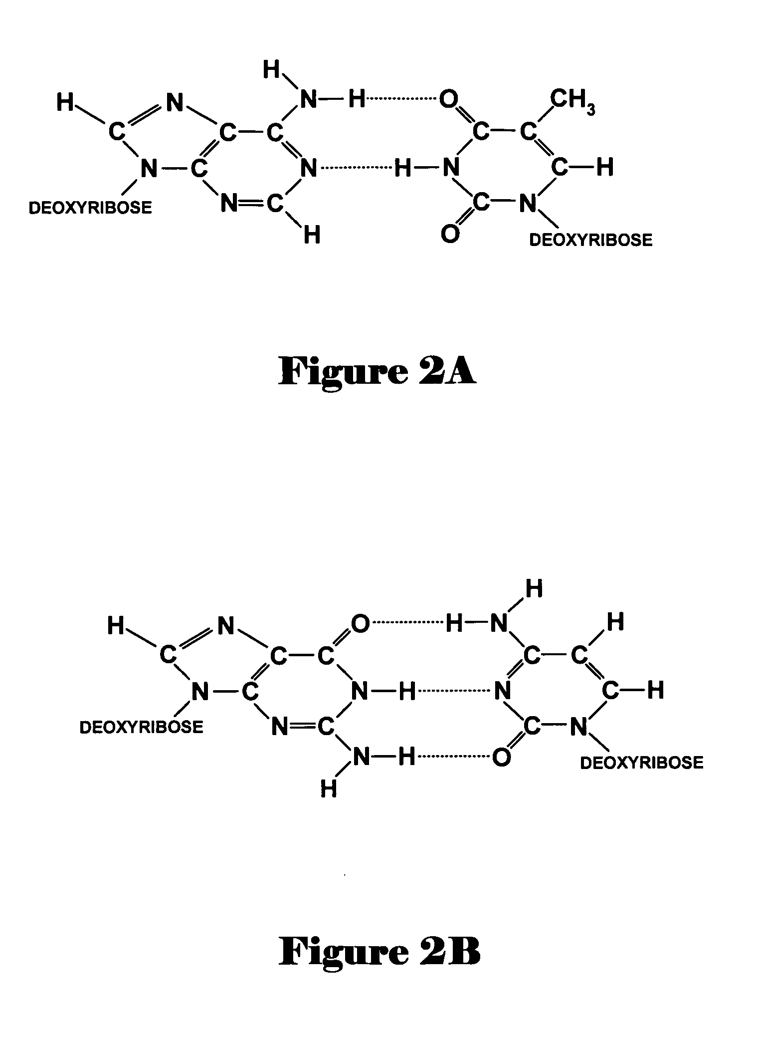 Method and system for determining feature-coordinate grid or subgrids of microarray images