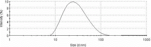 Taxol microemulsion drug composition and preparation method thereof