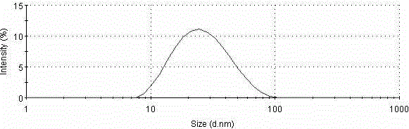 Taxol microemulsion drug composition and preparation method thereof