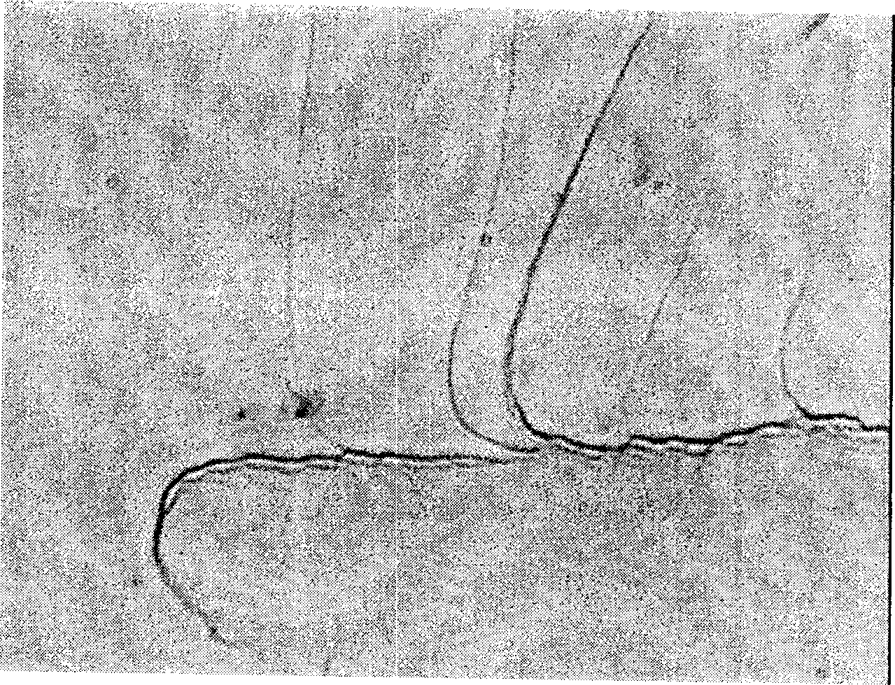 Xylon polymerized composite material and its preparation method