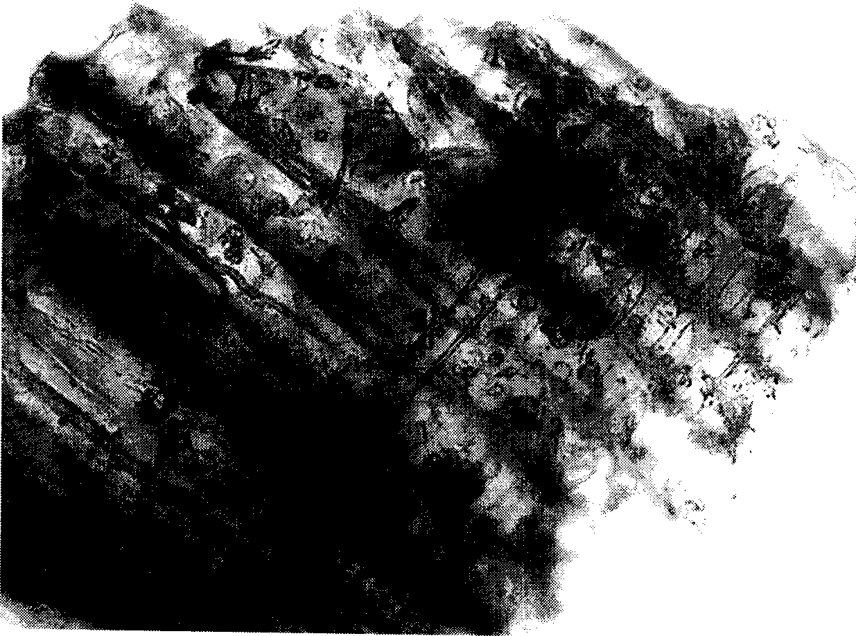 Xylon polymerized composite material and its preparation method