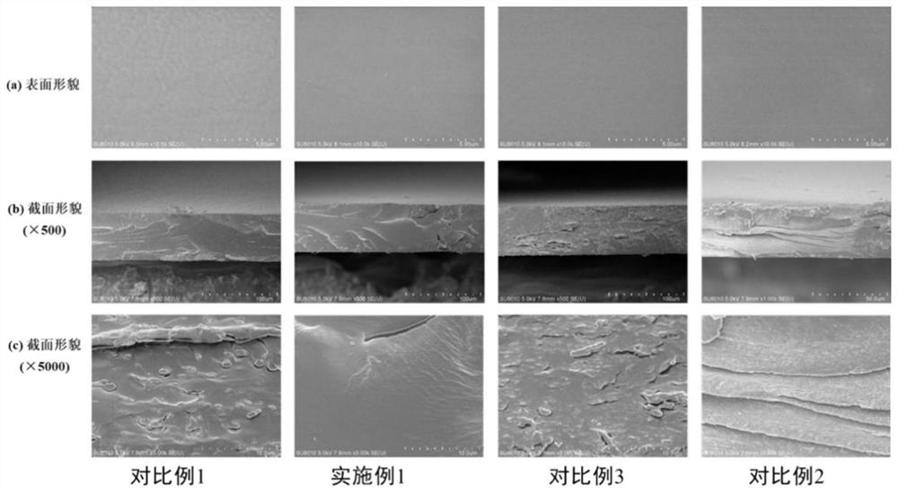 Ferulic acid-araboxylan copolymer antibacterial film as well as preparation method and application thereof