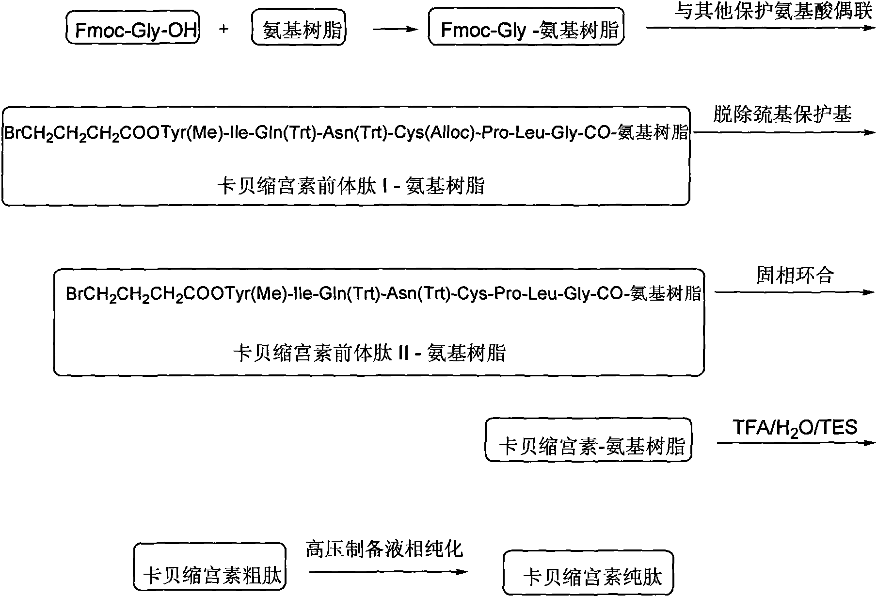 Solid phase preparation method of carbetocin