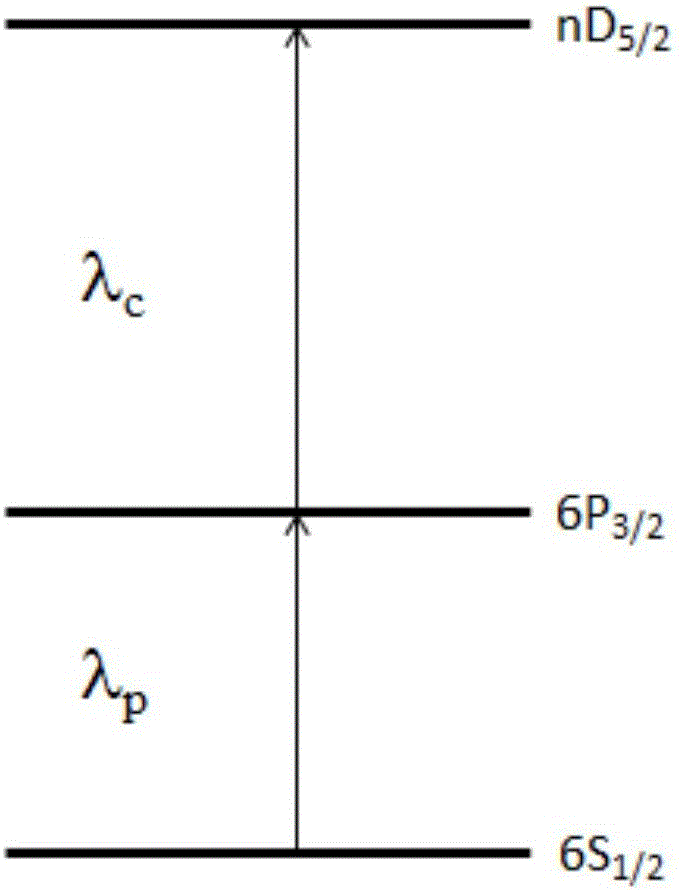 Device and method for measuring polarization direction of radio frequency electric field