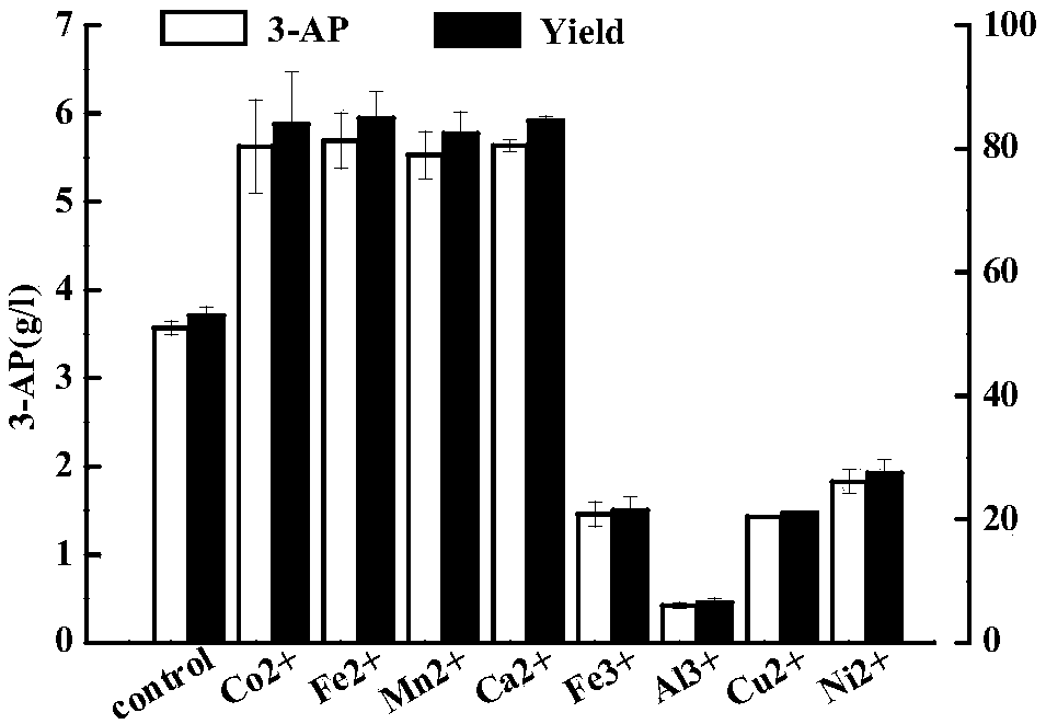 panD mutant gene, genetically engineered bacterium and application of genetically engineered bacterium in catalytic production of beta-alanine