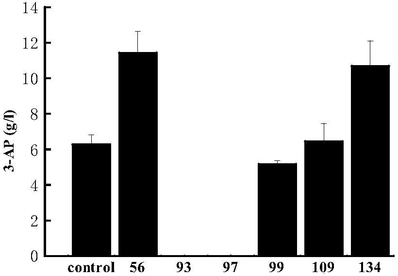 panD mutant gene, genetically engineered bacterium and application of genetically engineered bacterium in catalytic production of beta-alanine