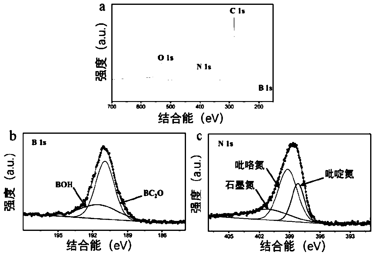 Boron-nitrogen co-doped carbon material and preparation method and application thereof