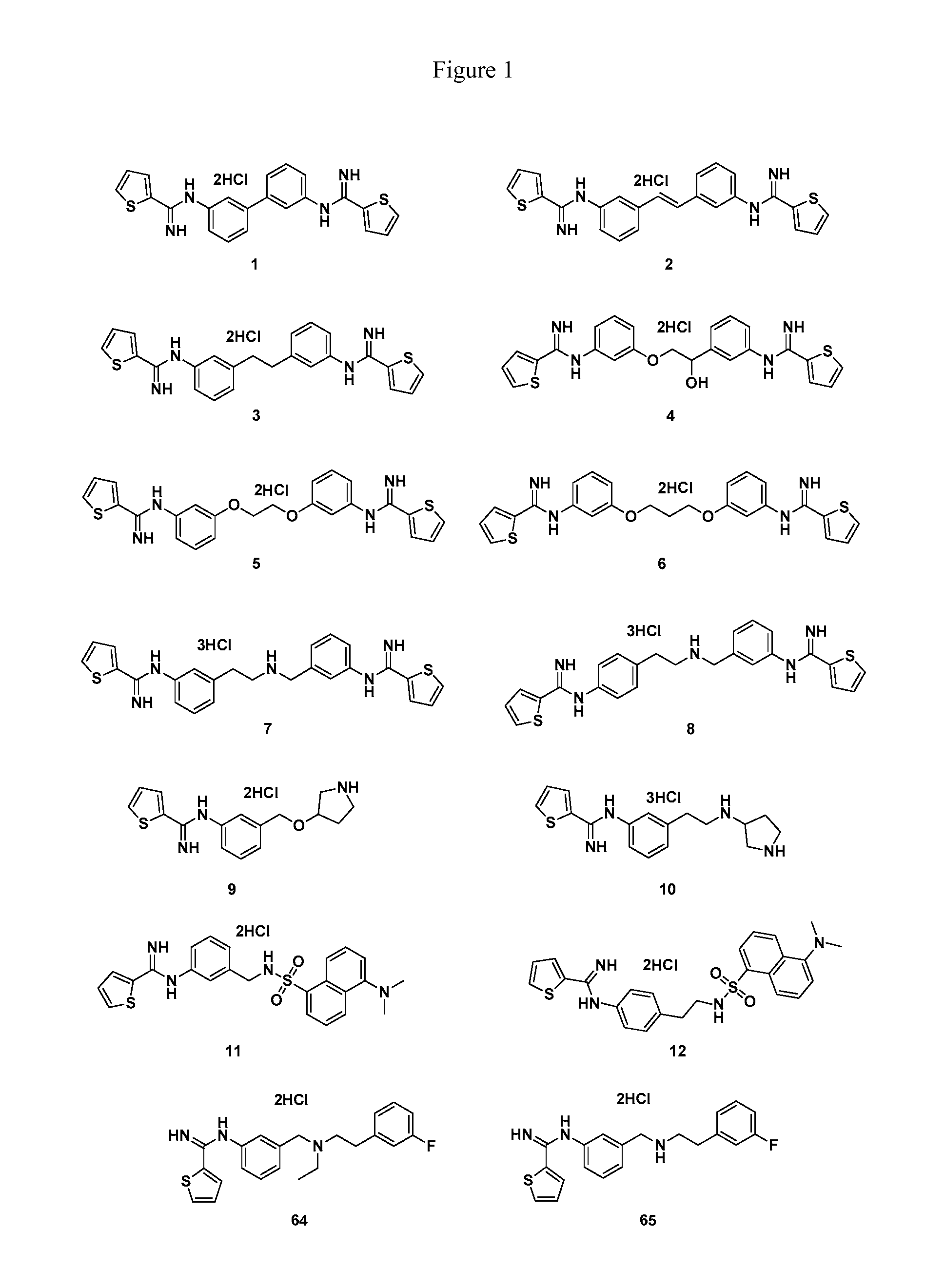 Thiophene-2-carboximidamide Based Selective Neuronal Nitric Oxide Inhibitors