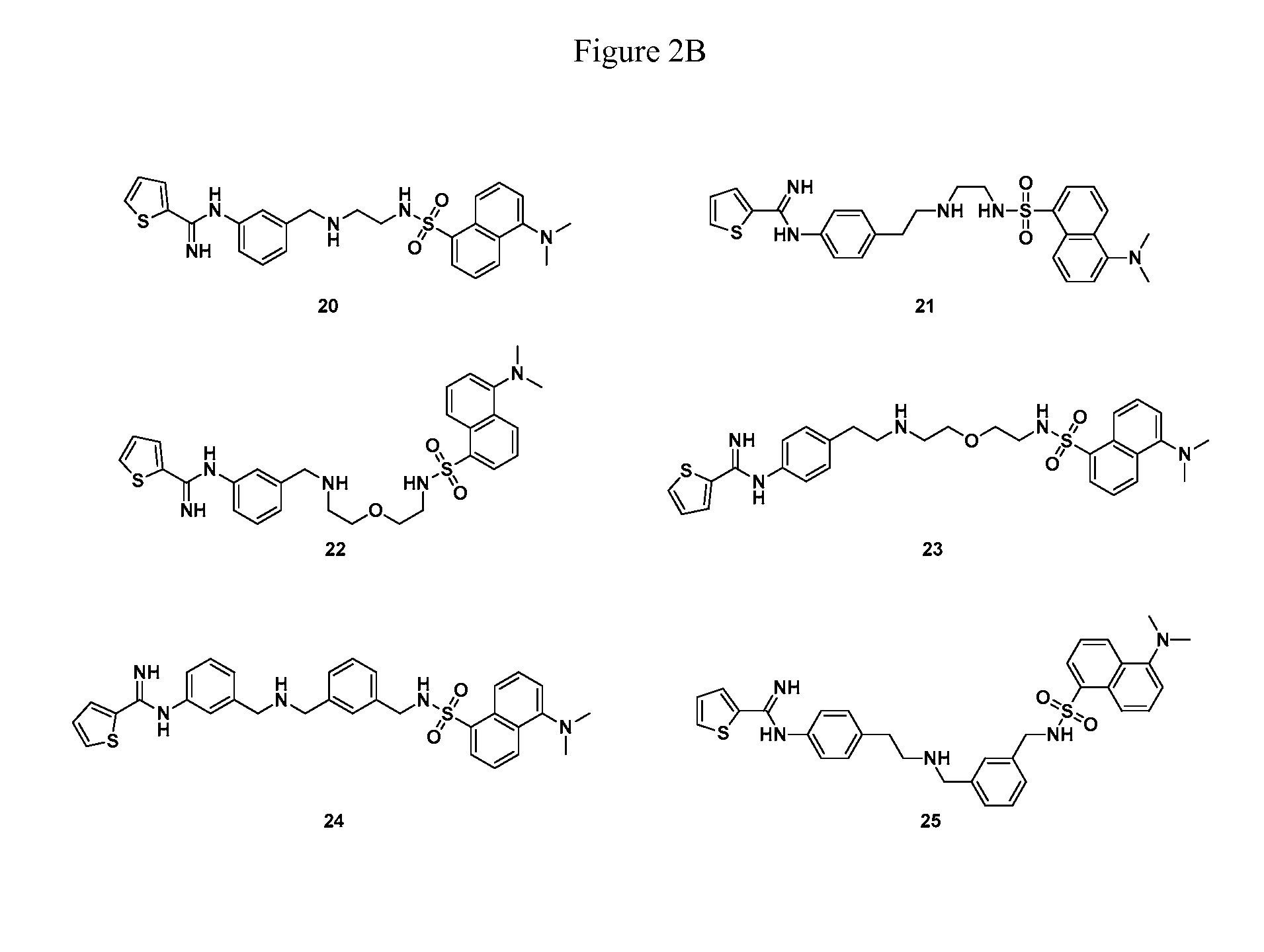 Thiophene-2-carboximidamide Based Selective Neuronal Nitric Oxide Inhibitors