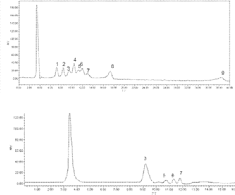 Preparation method of natural antioxidant tricholoma lobayense heim polysaccharide