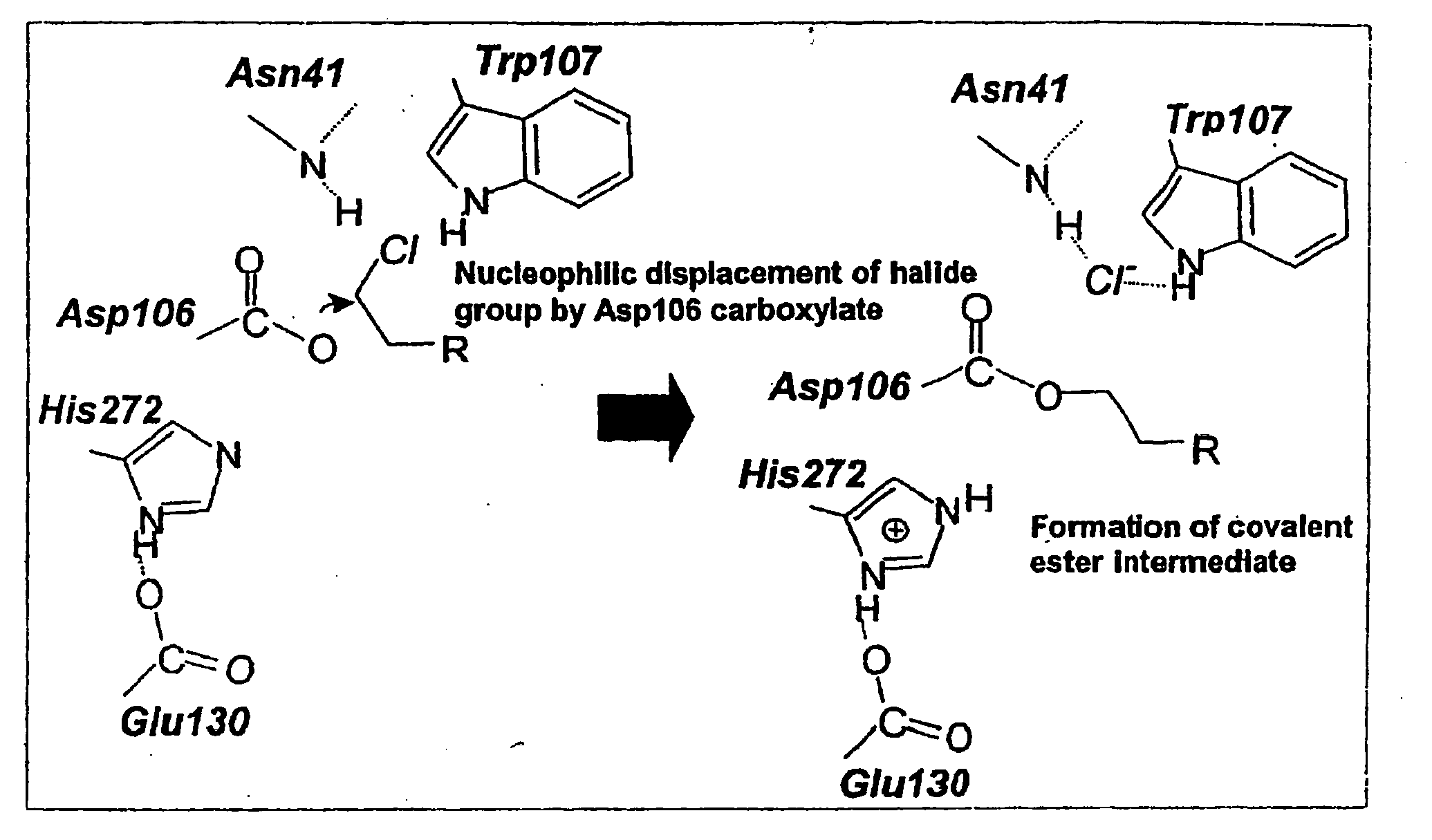 Covalent tethering of functional groups to proteins and substrates therefor