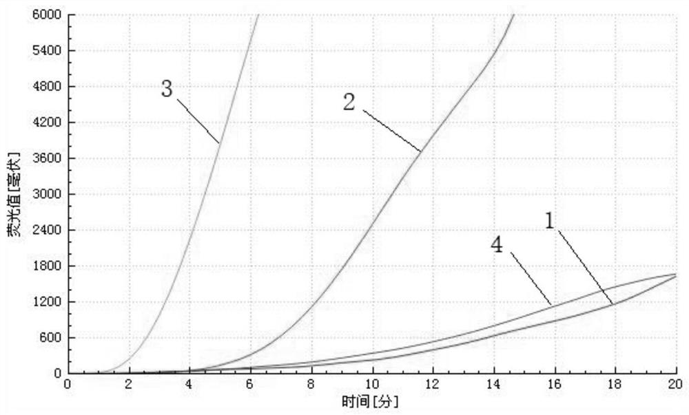 Primer probe combination, kit and detection method for detecting duck adenovirus type 3 based on RAA technology